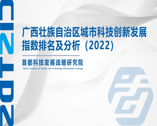 美女美男操逼【成果发布】广西壮族自治区城市科技创新发展指数排名及分析（2022）